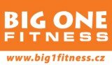 www.big1fitness.cz